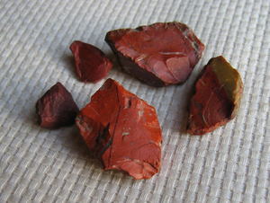 26-jasupa-(akadama ibaragi).JPG